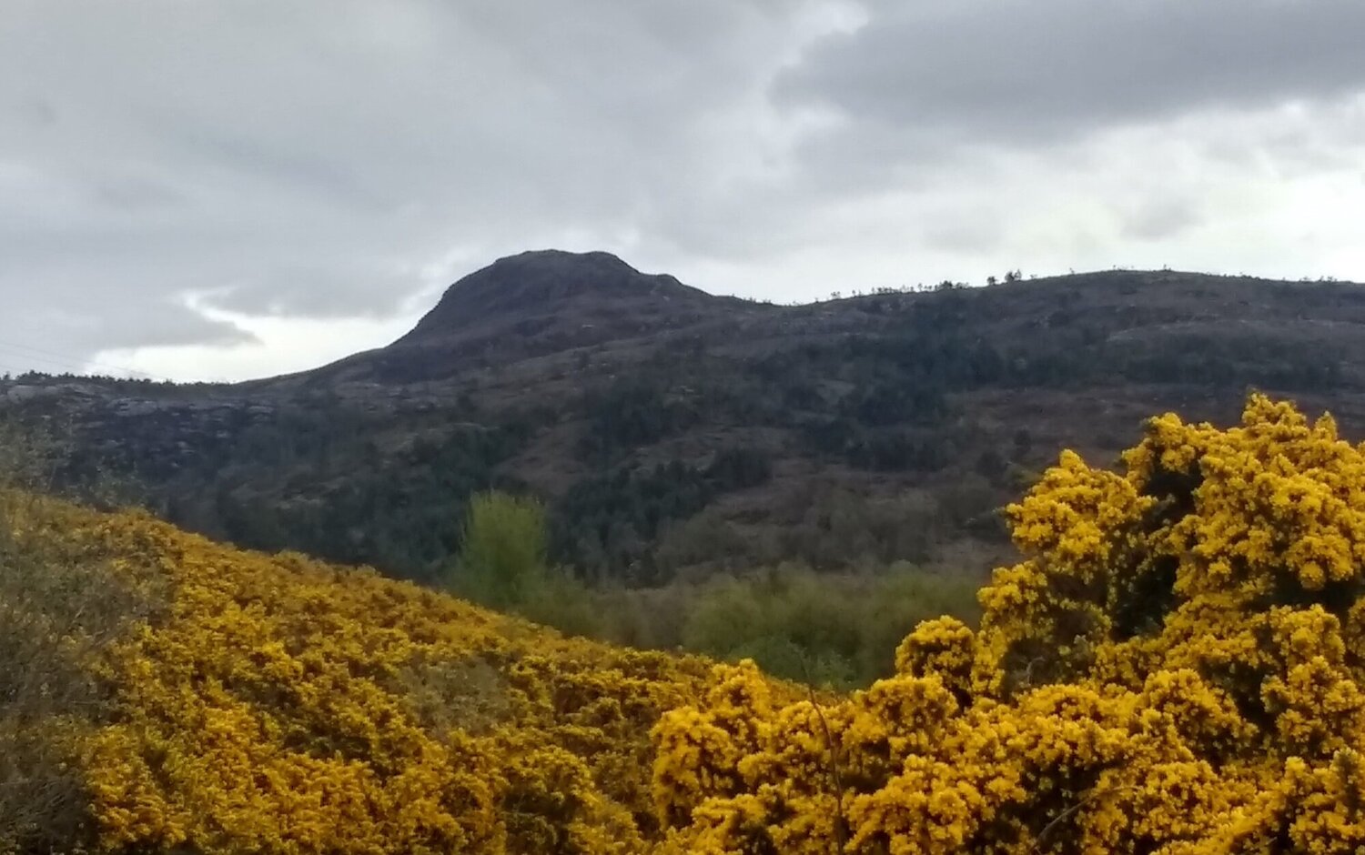 Ullapool Hill (Meall Mor)