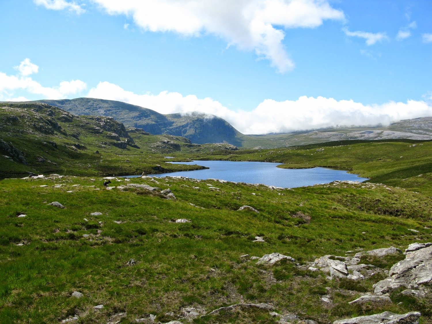 Heading west towards Creagan Meall Horn with the Bealach Horn to its right