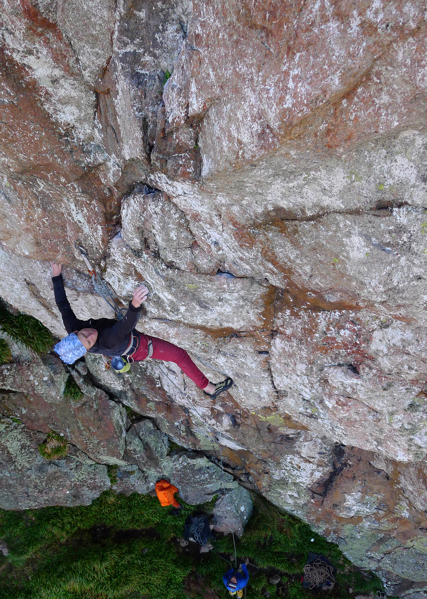 Tess Fryer on Ronald Raygun